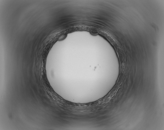 X0000111251111200907021014