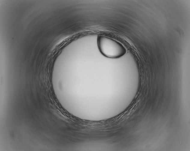 X0000111251112200907021014