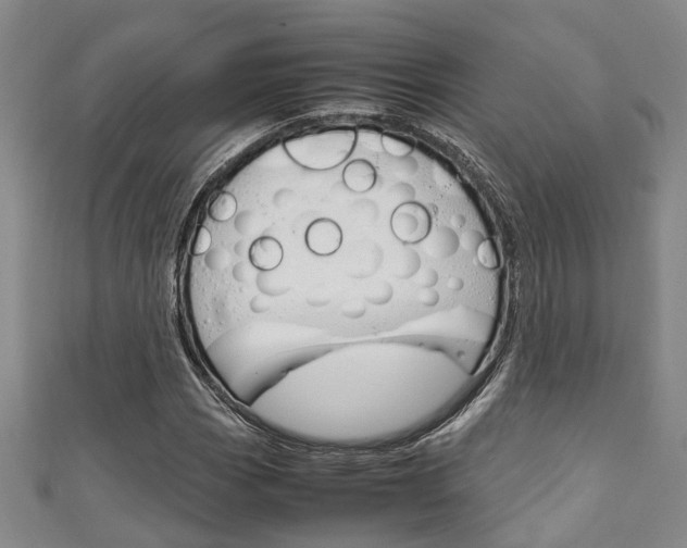 X0000111251113200907021014