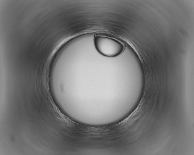 X0000111251115200907021014