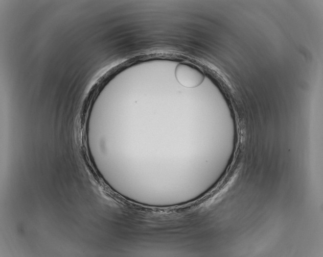 X0000111251117200907021014