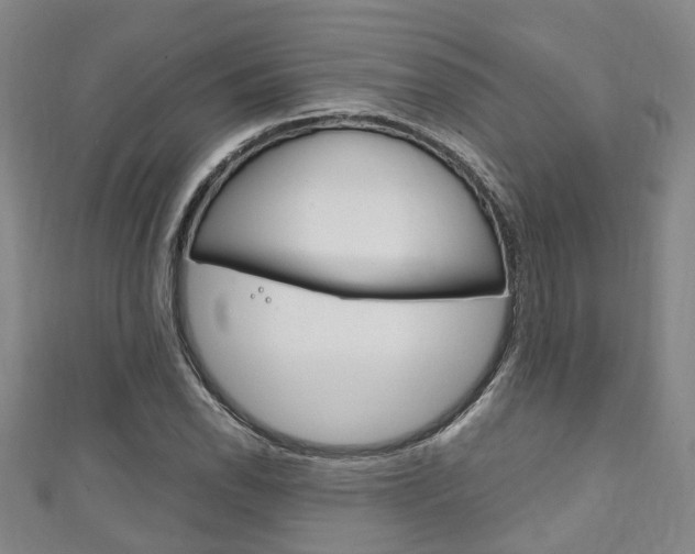 X0000111251118200907021014