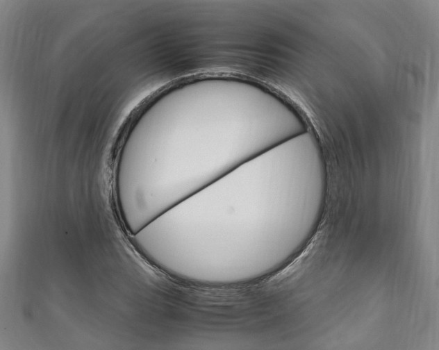 X0000111251119200907021014