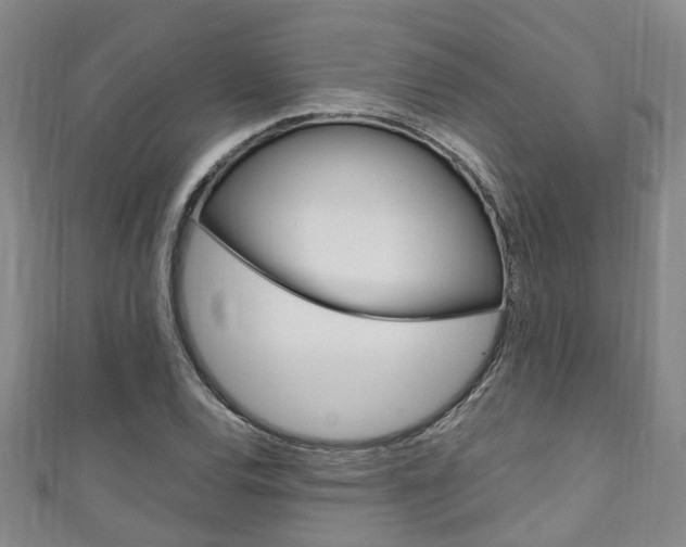 X0000111251120200907021014