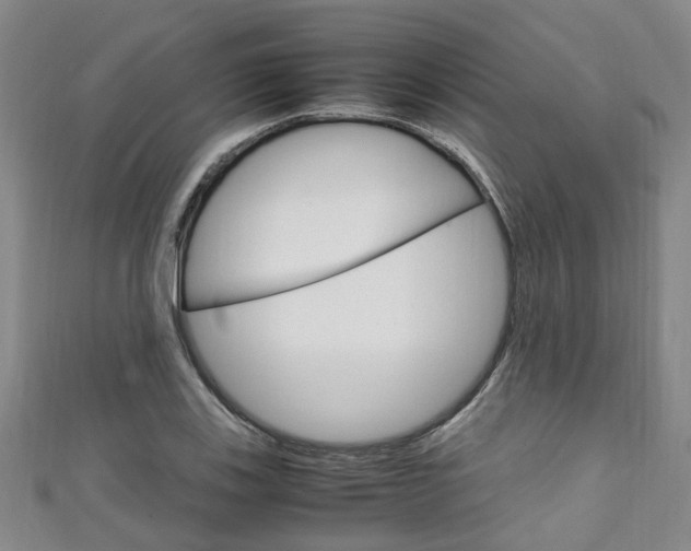 X0000111251123200907021014
