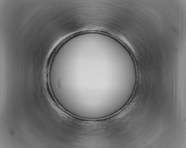 X0000111251124200907021014