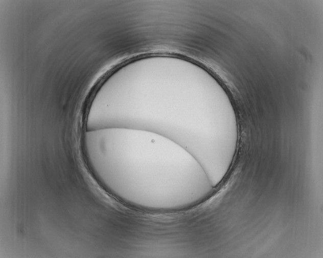 X0000111251126200907021014