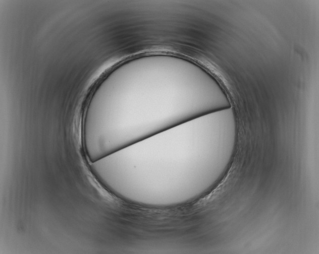 X0000111251127200907021014