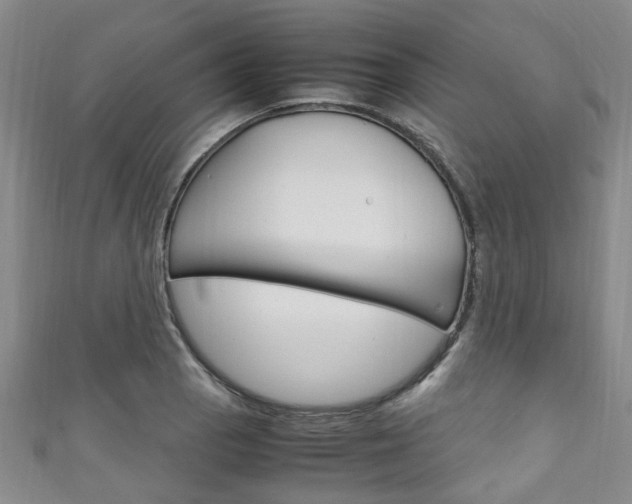 X0000111251129200907021014