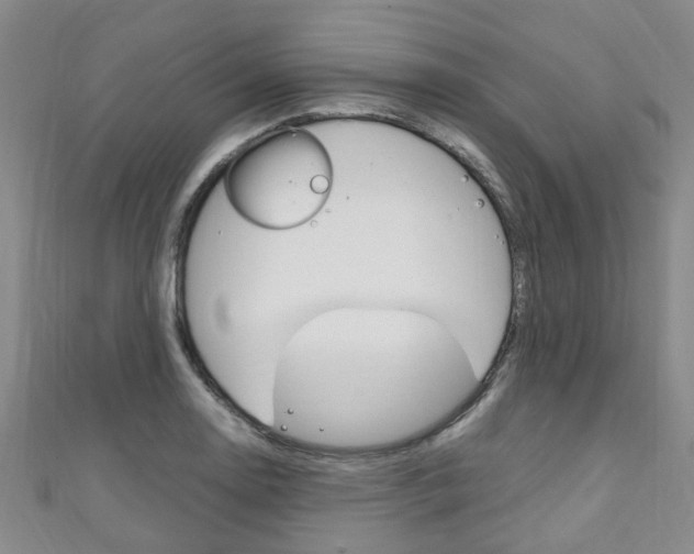 X0000111251130200907021014