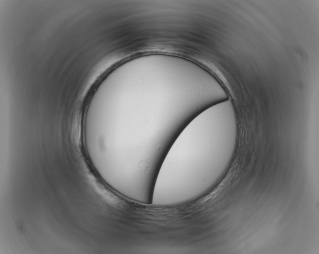 X0000111251131200907021014