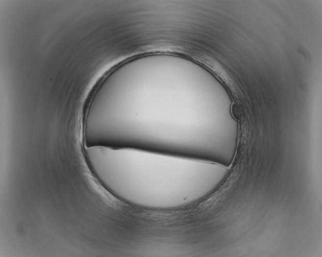 X0000111251132200907021014