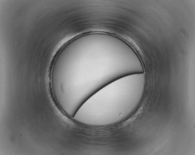 X0000111251133200907021014