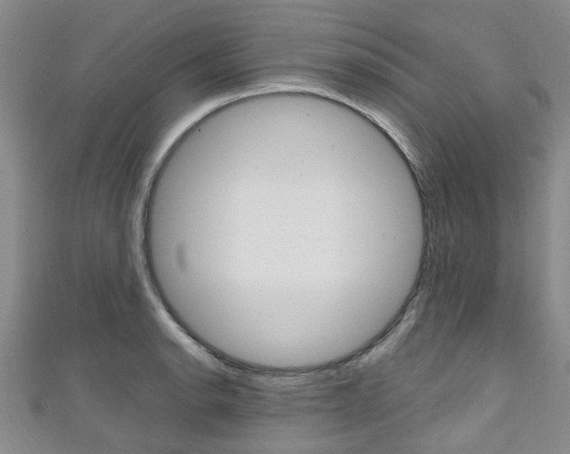 X0000111251134200907021014