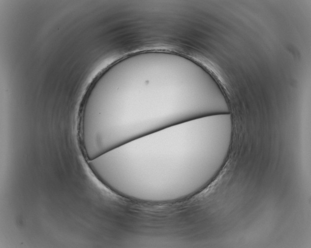 X0000111251135200907021014