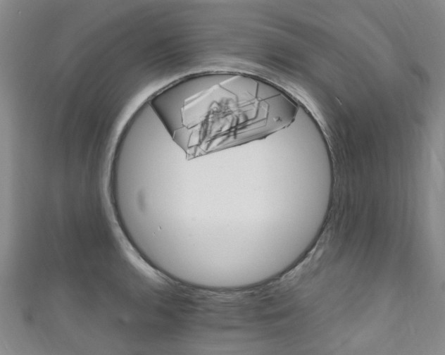 X0000111251136200907021014