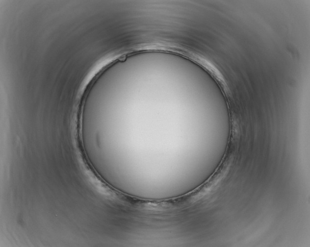 X0000111251138200907021014