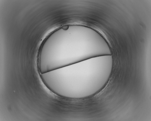 X0000111251139200907021014