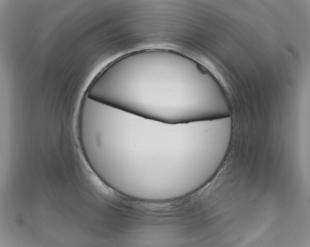 X0000111251140200907021014
