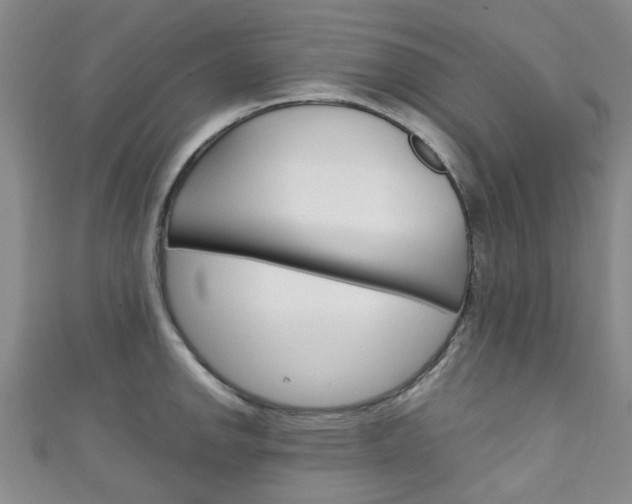X0000111251142200907021014