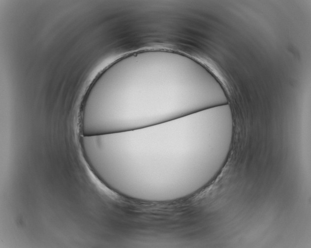 X0000111251143200907021014