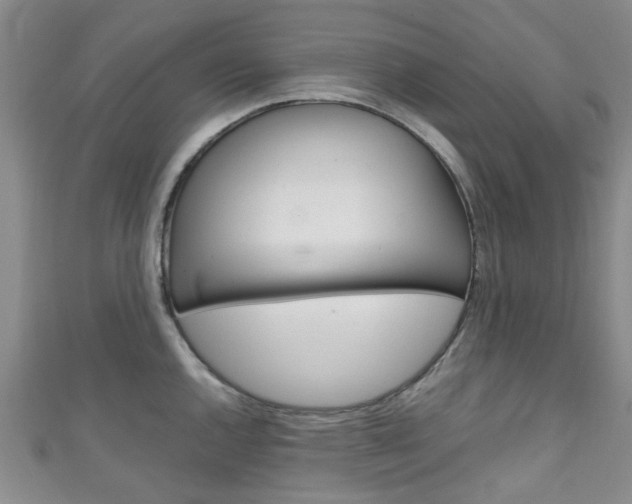 X0000111251144200907021014