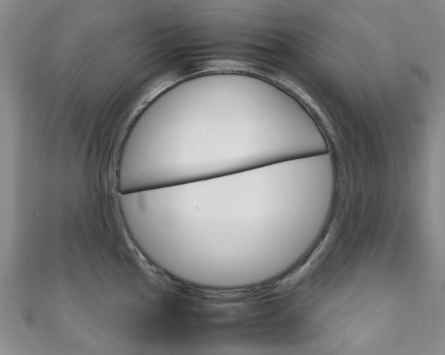 X0000111251145200907021014