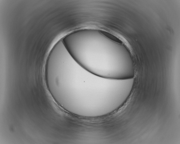 X0000111251146200907021014