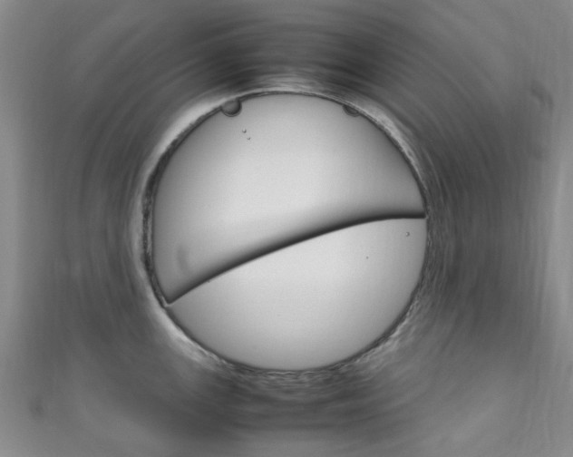 X0000111251147200907021014