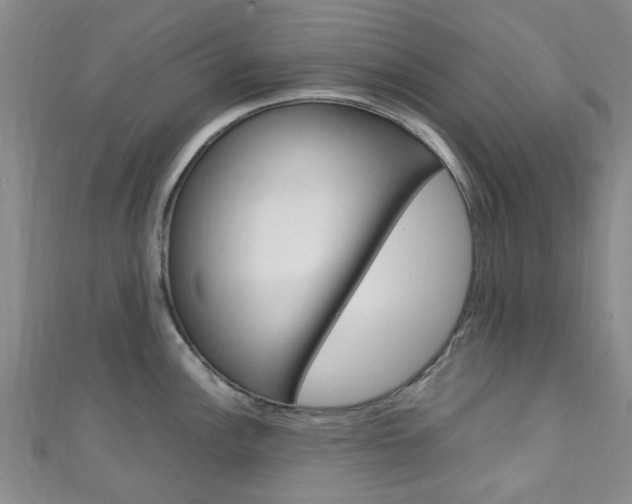 X0000111251148200907021014