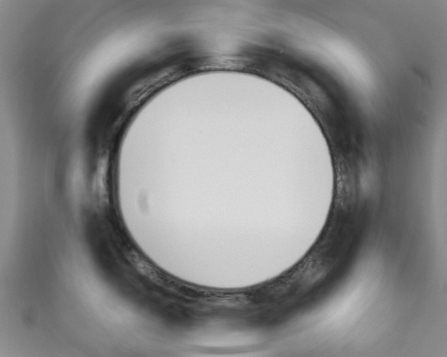 X0000111251150200907021014