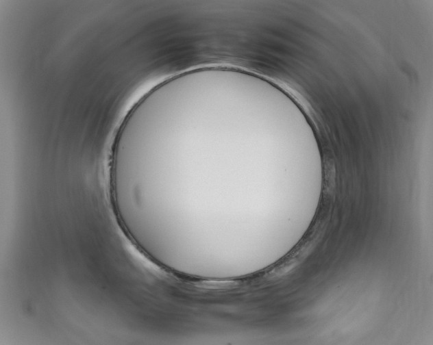 X0000111251151200907021014