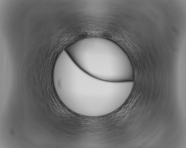 X0000111251153200907021014
