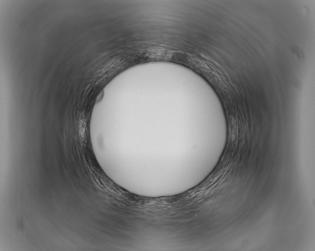 X0000111251154200907021014