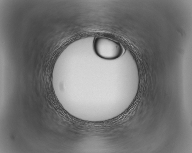 X0000111251157200907021014