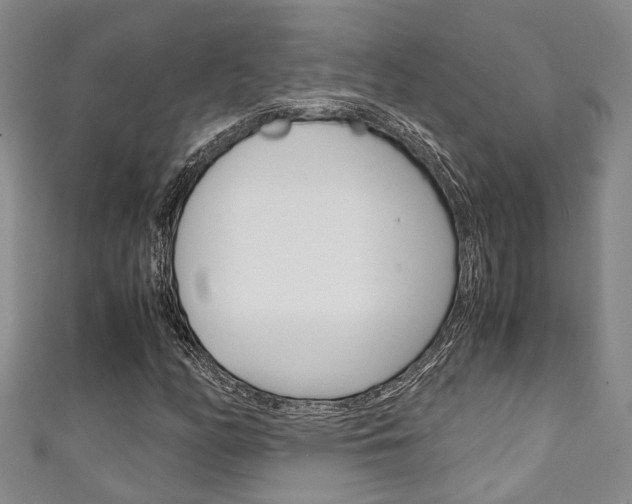 X0000111251158200907021014