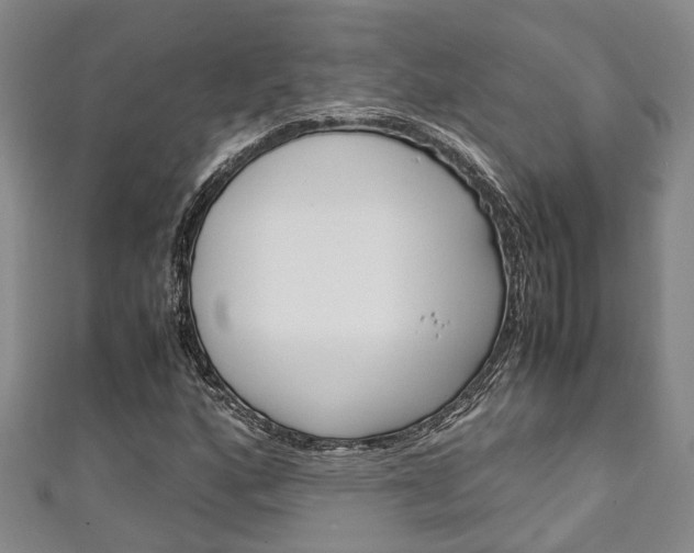 X0000111251160200907021014