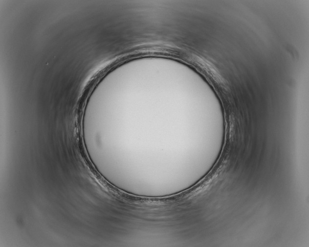 X0000111251164200907021013