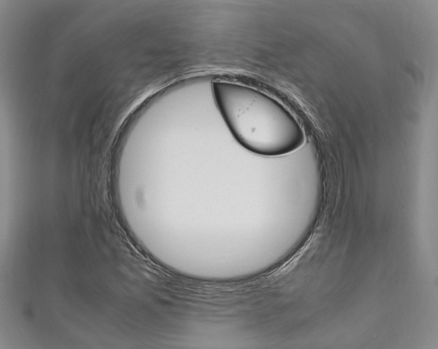 X0000111251165200907021013