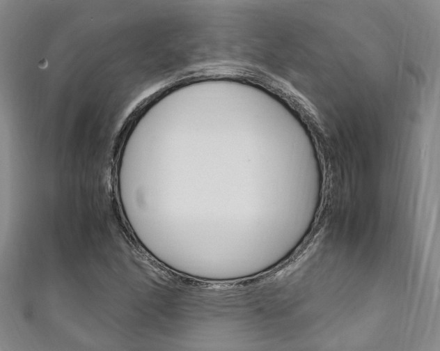 X0000111251166200907021013