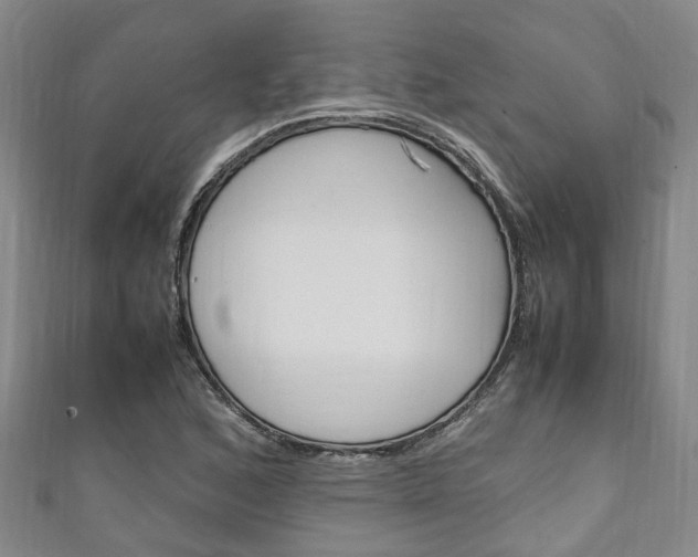 X0000111251168200907021013