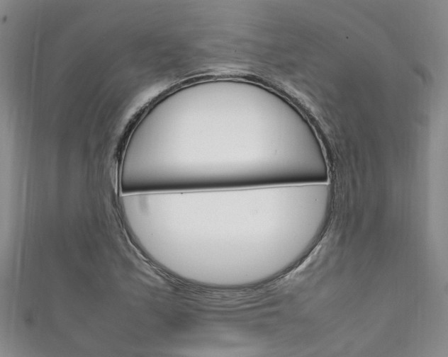 X0000111251171200907021013