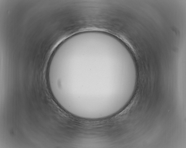 X0000111251173200907021013