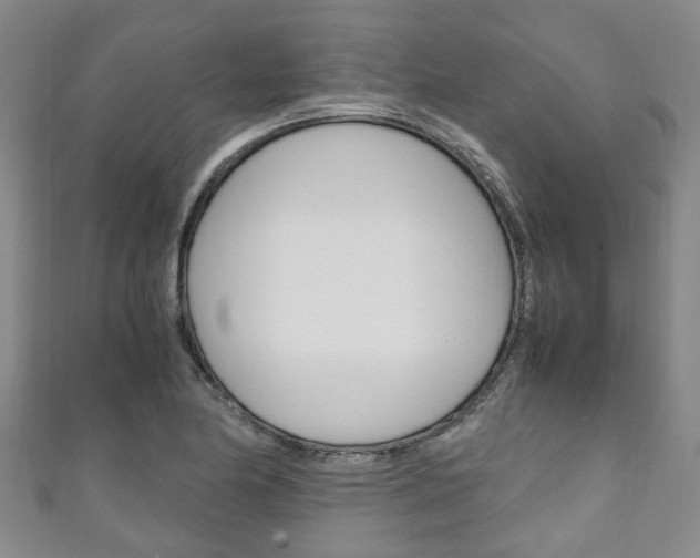 X0000111251174200907021013