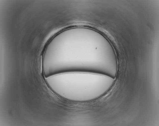 X0000111251175200907021013