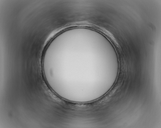 X0000111251176200907021013