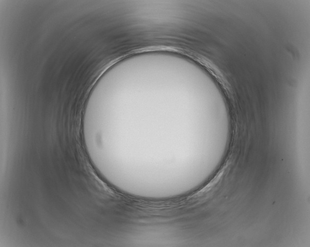 X0000111251177200907021013