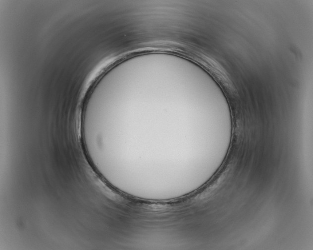 X0000111251180200907021013