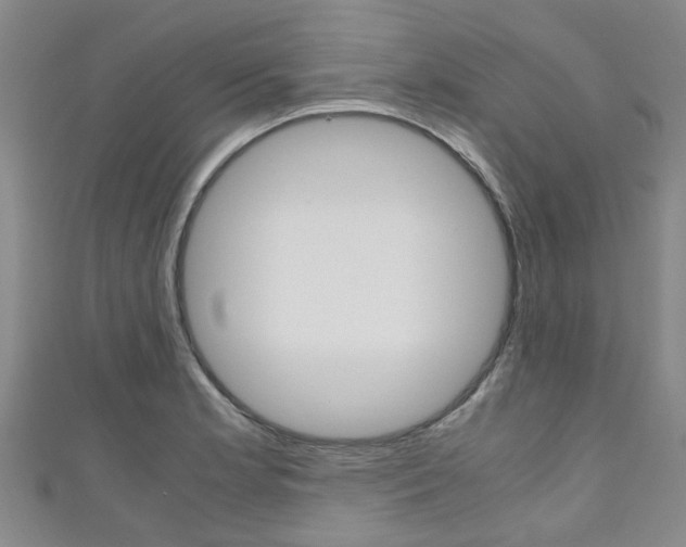 X0000111251181200907021013