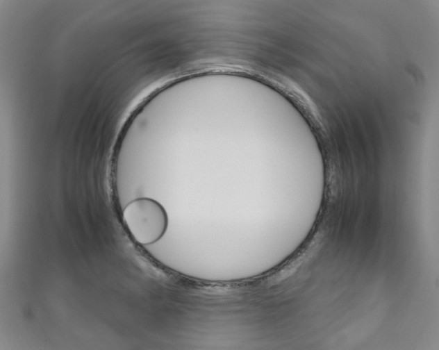 X0000111251182200907021013